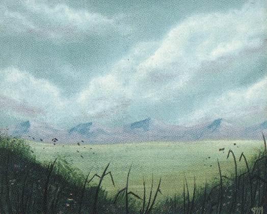 Plains